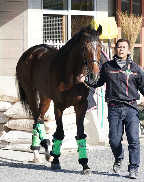 ジョバンニは自在性が魅力