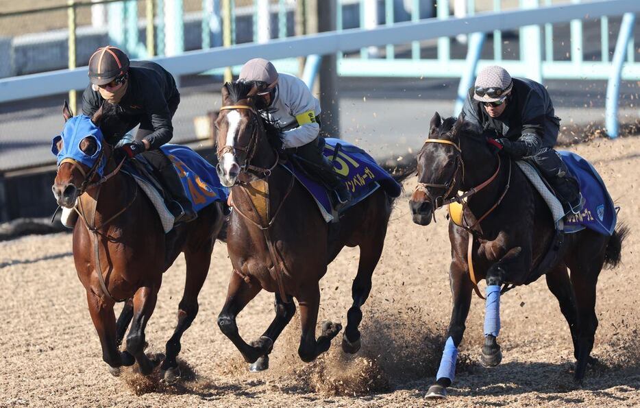 ３頭併せで一杯に追われたダノンベルーガ（中）＝美浦トレセン（撮影・塩浦孝明）