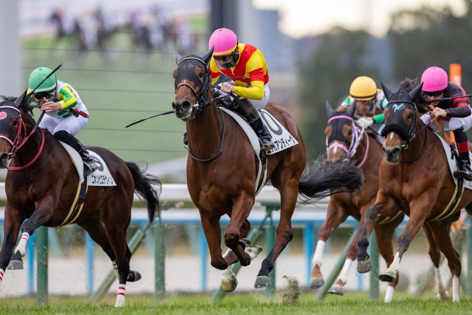 京都5R・エリカアンディーヴと松山弘平騎手