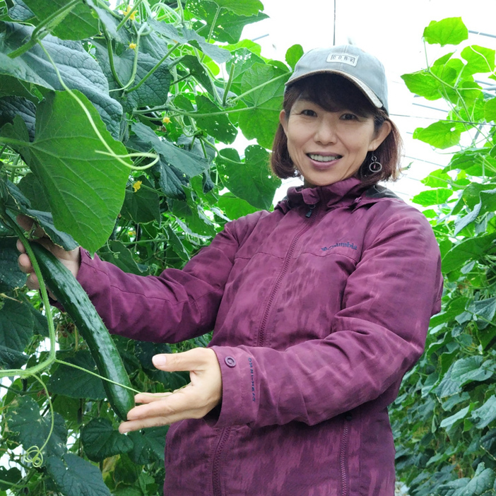 ビニールハウス内でキュウリを手入れする片山京子さん＝山梨県南アルプス市、坂本写す