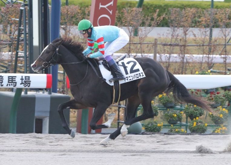 最後は流し気味で2着に8馬身の差を広げたヤマニンバロネス