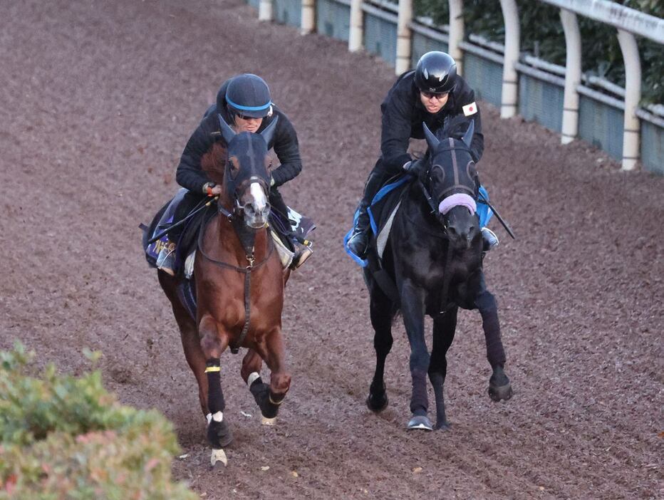 馬なりで先着したアルテヴェローチェ（左）＝栗東トレセン（撮影・安部光翁）