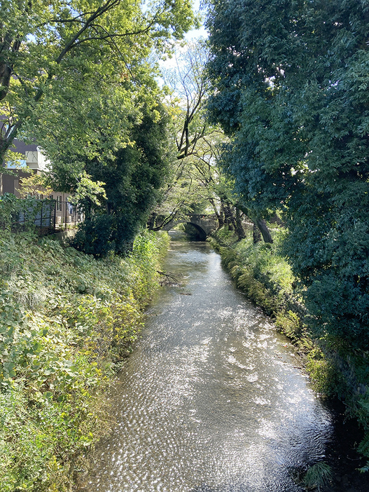 日光橋遠望