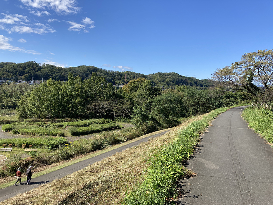 多摩川の河川敷の土手のよう。奥には羽村草花丘陵が見える