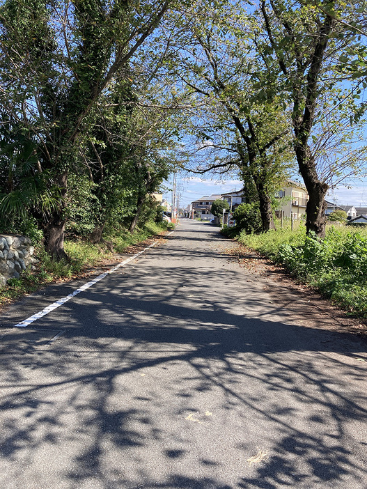 高台に延びる軽便鉄道跡の道