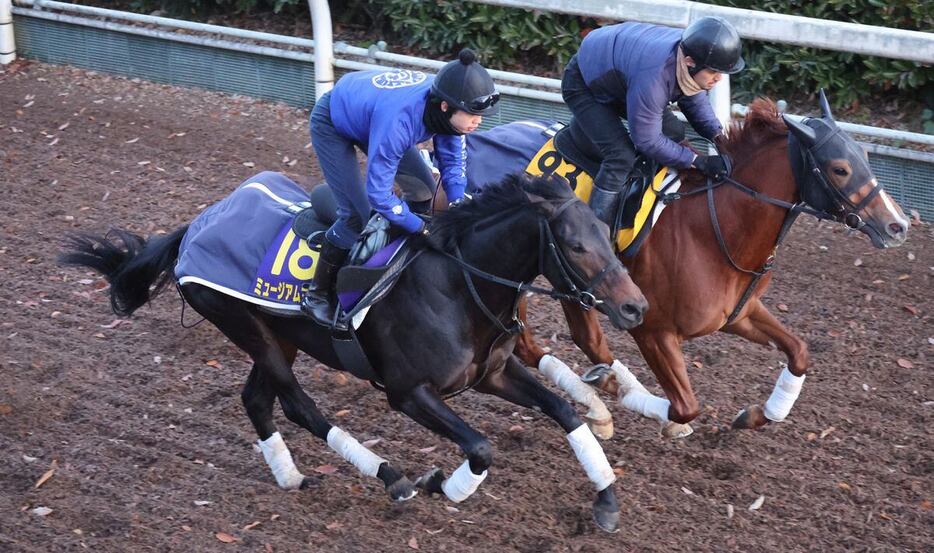 栗東坂路で併せ馬。4ハロン53秒6、ラスト1ハロン12秒1をマークしたミュージアムマイル＝栗東トレセン（撮影・安部光翁）