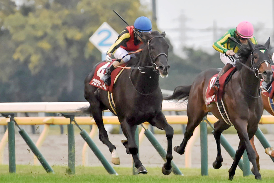 東スポ杯２歳Ｓを制したクロワデュノールが最有力