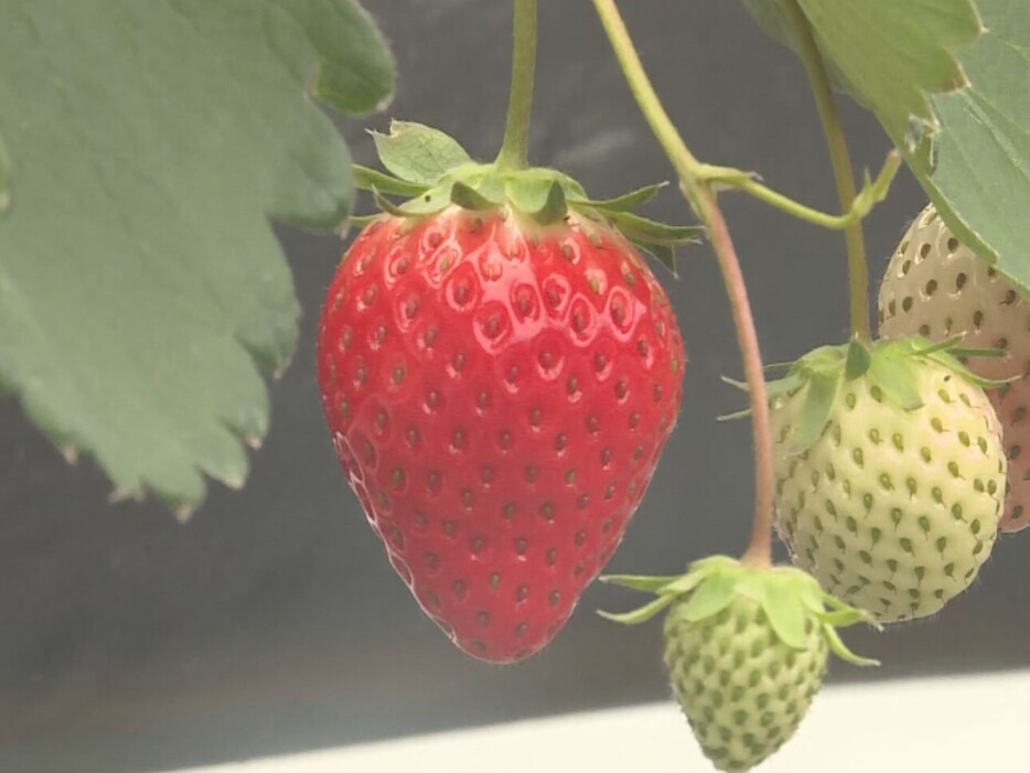 岐阜県高山市の小屋垣内農園