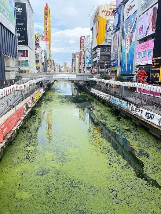 [写真]大阪ミナミ、戎橋（中央）付近の道頓堀川が緑に染まった。右にはグリコの看板も＝27日午後3時半ごろ、大阪市中央区で