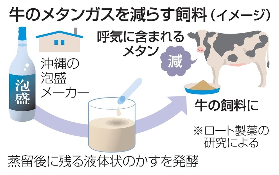 牛のメタンガスを減らす飼料（イメージ）
