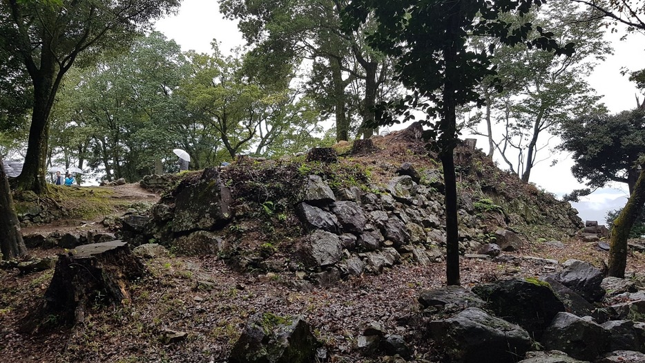 金山城の石垣。この上に建っていたのが移築前の犬山城か