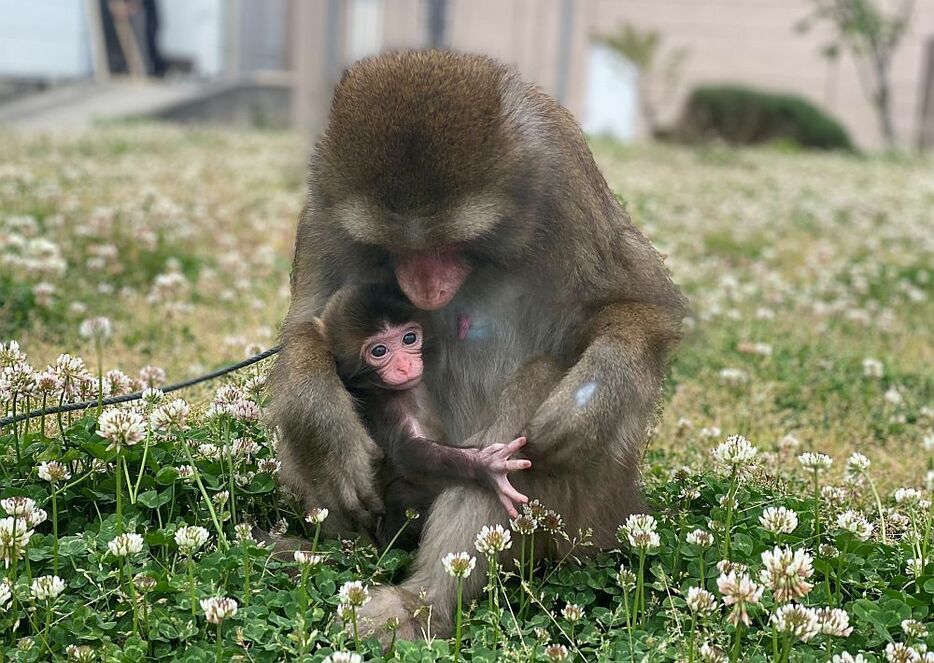 ［写真］現在、新型コロナウイルスの感染拡大防止のため臨時休館中だが、動画で明るい話題を届けているという（提供：二助企画）