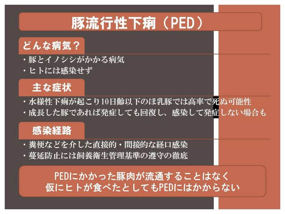 [図表]豚流行性下痢（PED）とは