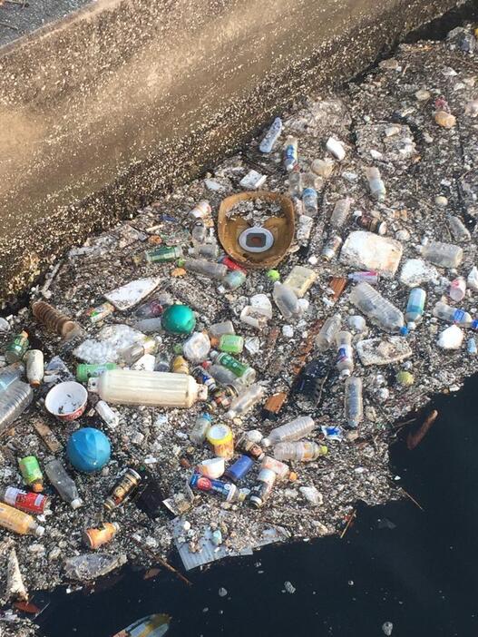 [写真1]東京湾の海岸に打ち上げられた夥しい数のペットボトルなどのプラスチックごみ