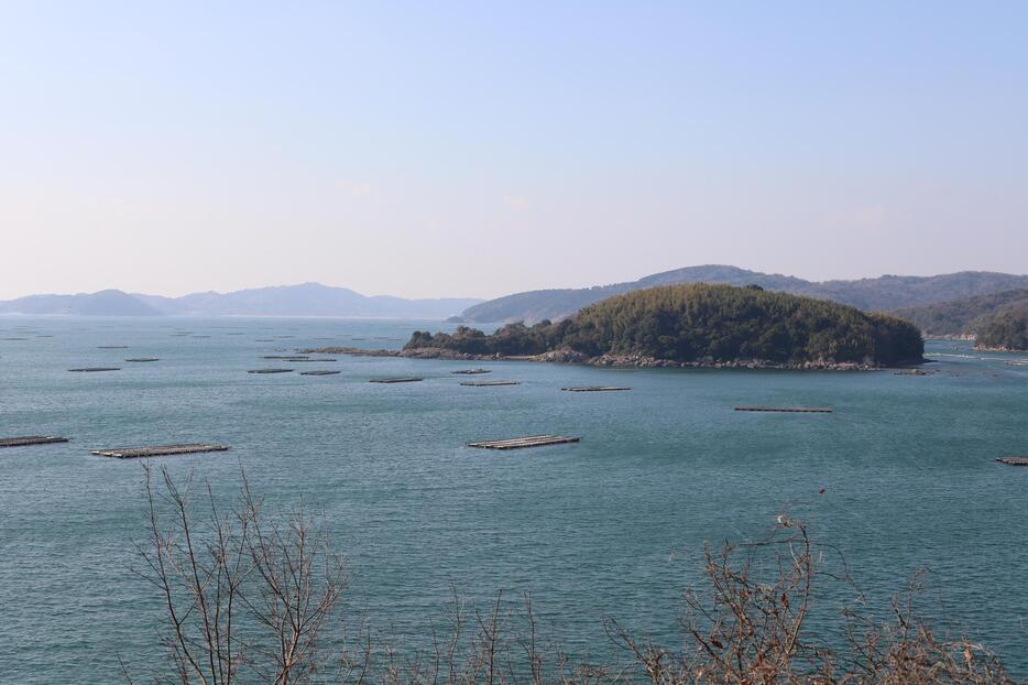 長島から瀬戸内海を臨む（2018年。撮影：野村泰介）