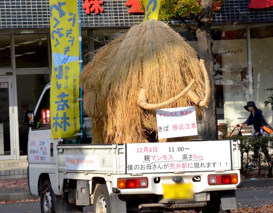 突然現れた「子マンモス」の姿に驚く人も（安藤歩美撮影）