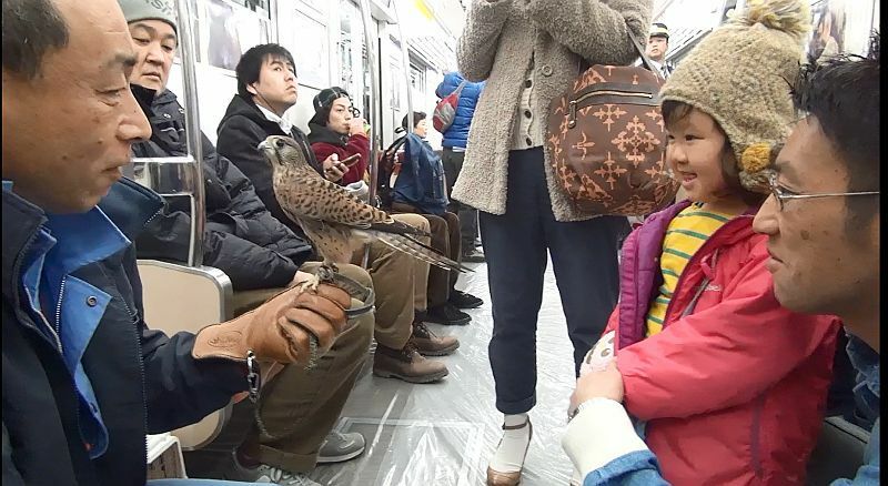 [写真]100周年を記念し地下鉄に動物を乗せて好評を得た=2014年12月20日、大阪市内で
