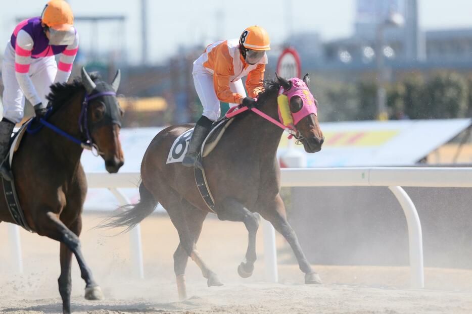 デビュー戦はブービー8着。直線で馬群に沈んだ＝2016年3月3日（写真：YUTAKA/アフロスポーツ）