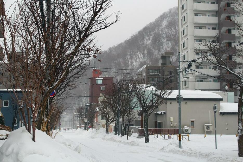 [写真]時折強い風が吹き視界が遮られる札幌市内