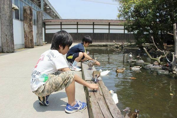 [写真]「神戸花鳥園」での、子どもたちと生き物の触れ合い