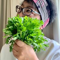 西尾市】企画展『「倚りかからず」の詩人は本当に西尾に居た