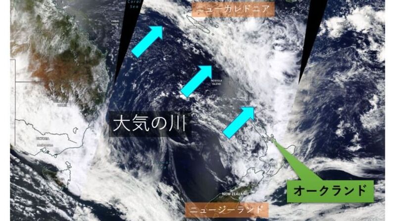 永久欠番42 ベースボールシャツ ヤンキース 野球 応援グッズ